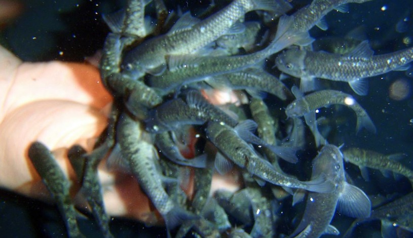 Hotel Krakonoš Three Stars Superior Mariánské Lázně